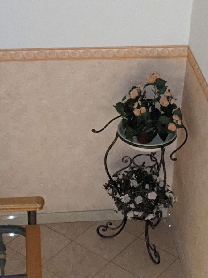 D'Elite Room & Breakfast フェラーラ エクステリア 写真